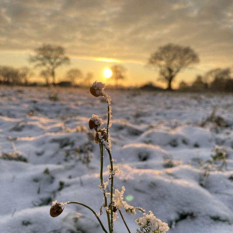 Acker Schnee