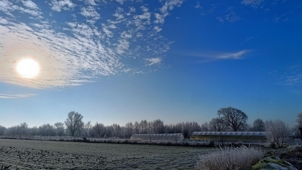 Gaertnerei im Winter